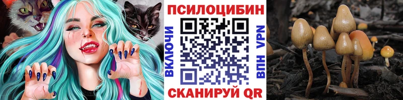 Галлюциногенные грибы Cubensis  Купить закладки  Камызяк 