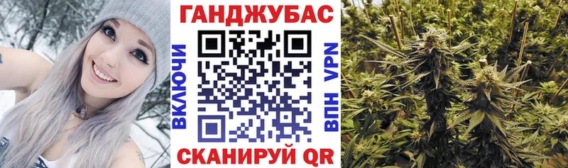 Бошки Шишки THC 21%  Купить где  Камызяк 